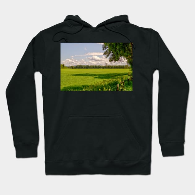ibs meadow Hoodie by pcfyi